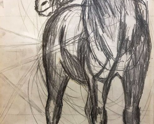 caballo_1977